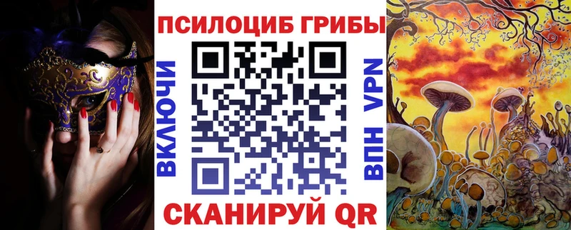 Галлюциногенные грибы мицелий  Купить где  Сунжа 